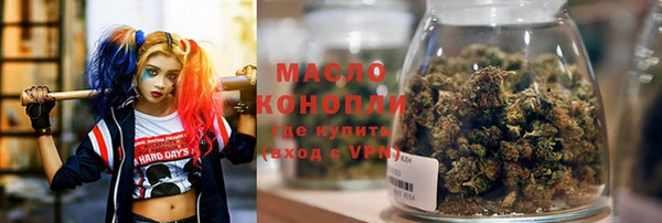 индика Нязепетровск