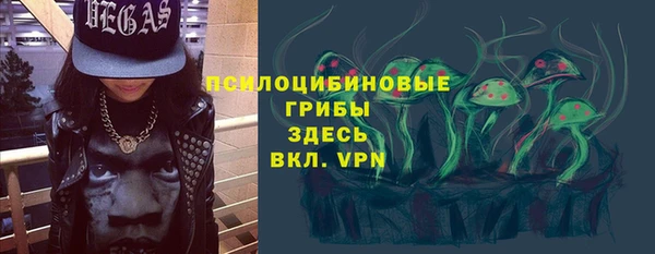 эйфоретик Новодвинск