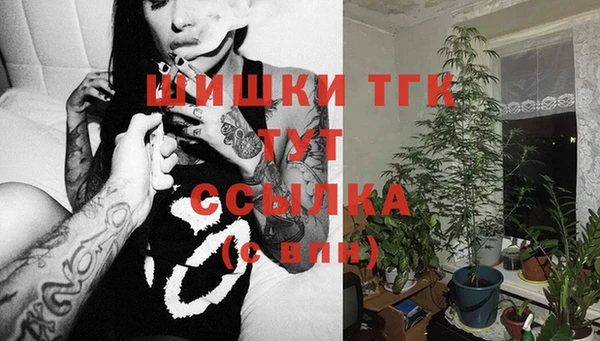 соль курить ск Новозыбков