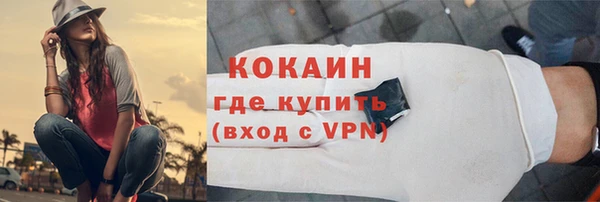 прущие грибы Новокубанск
