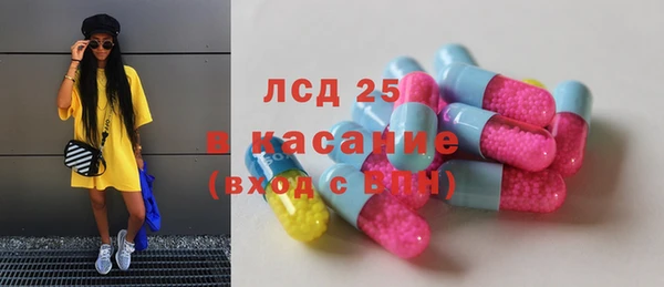 прущие грибы Новокубанск