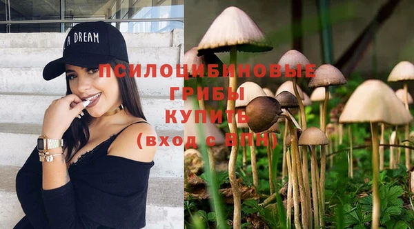 индика Нязепетровск