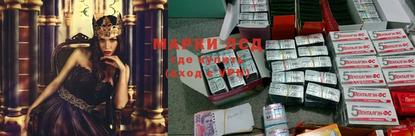 прущие грибы Нягань