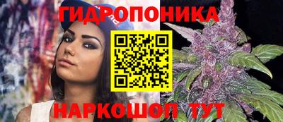 амф Балахна