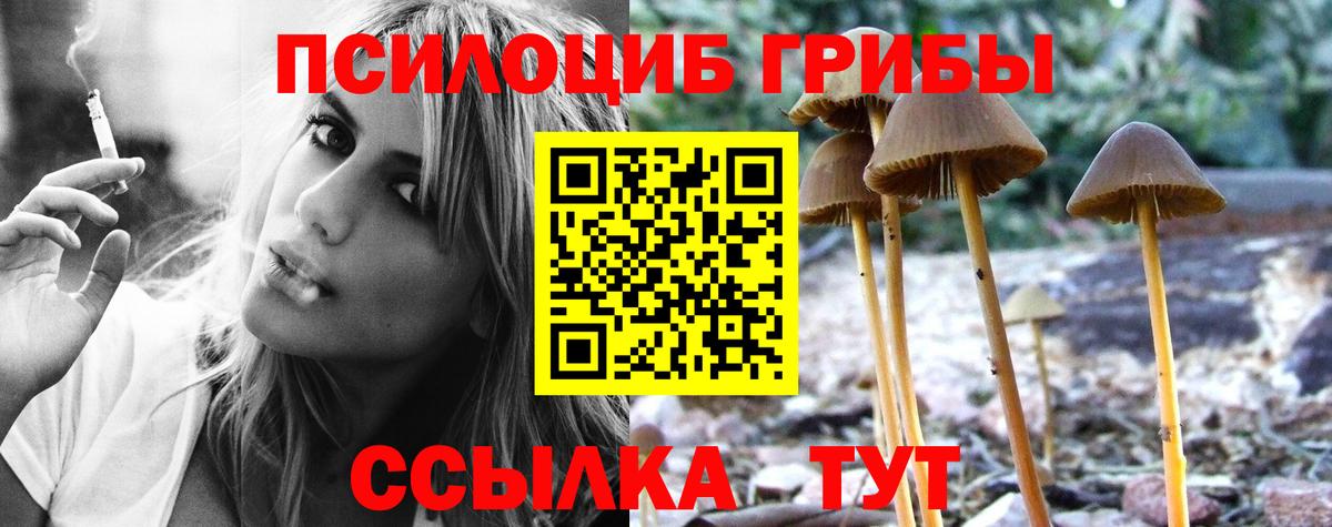 Псилоцибиновые грибы GOLDEN TEACHER  Кузнецк 